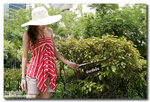IMG_1128a