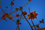 IMG_5834