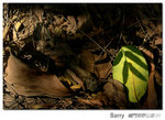 DSCN7614_b