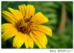 DSCN7621_resize