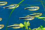 IMG_4429 copy