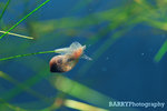 IMG_4461 copy