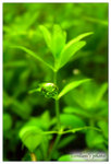 dscn6647_178