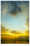 DSC_2236