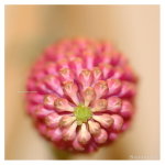 DSC_7413_resize