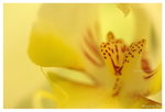 DSC_7436_resize