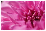 DSC_7510_resize