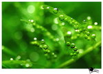 DSC_8575_resize