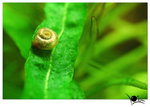 DSC_8882_resize