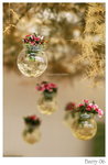 DSC_8654_resize