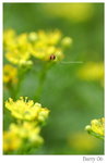 DSC_8688_resize