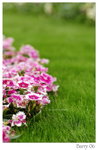 DSC_8719_resize