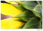 DSC_8752_resize