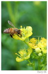 DSC_8796_resize