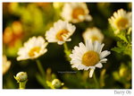 DSC_8837_resize
