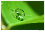 DSC_5418_resize