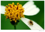 DSC_5552_resize