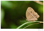 DSC_5591_resize