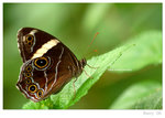 DSC_5627_resize