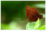 DSC_5635_resize