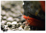 DSC_5161_resize