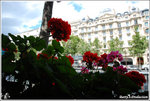08paris6