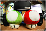 nds