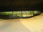 DSC00701