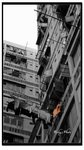 DSC_2900