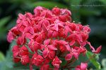 PICT0015