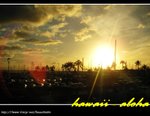 PICT6736