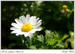 PICT0014