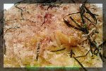 DSC00185