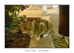 DSC00090