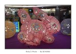 DSC00169