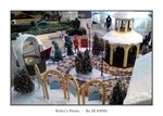 DSC00250
