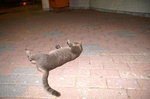 PICT0039