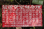 IMG_8338re