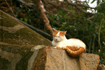 IMG_0392bre