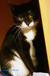 IMG_4519q
