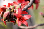 IMG_9800