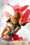 IMG_9902