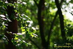IMG_5056j