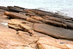 IMG_9889b