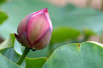 IMG_4612bre