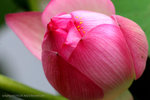 IMG_4633bre