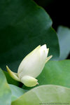 IMG_4646bre