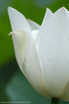 IMG_4657bre