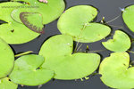 IMG_4682bre