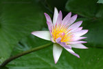 IMG_4711bre